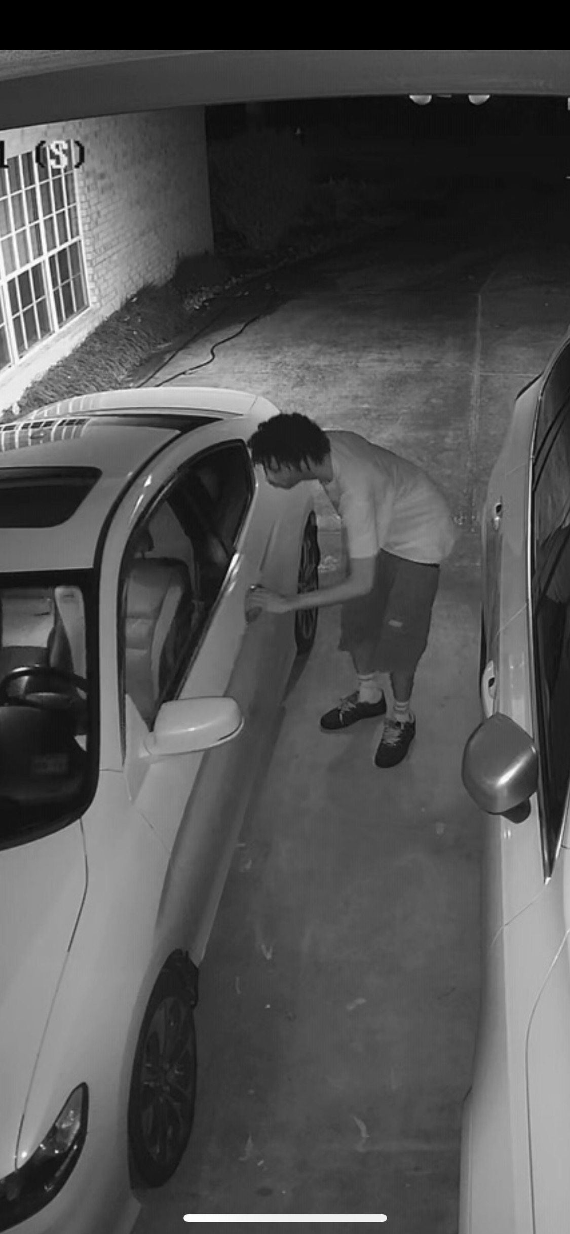 Photo of suspect pulling on vehicle door handle.
